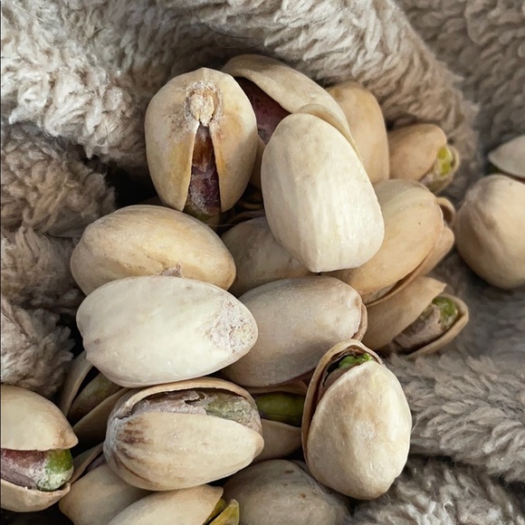 Meet your Posher, Sacha - Picture 1 of 1